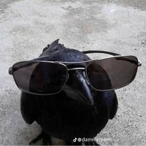 Meet your Posher, Audrey